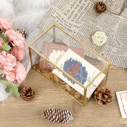 Hipiwe Gold Glass Decorative Boxes Rectangular Keepsake Shadow Box with Lid | Mini Garden Jewelry Display Case Vanity Lidded Boxes for Wedding Cards, Trinkets, Photos & Perfume - 8.3"x4.3"x4.3"
