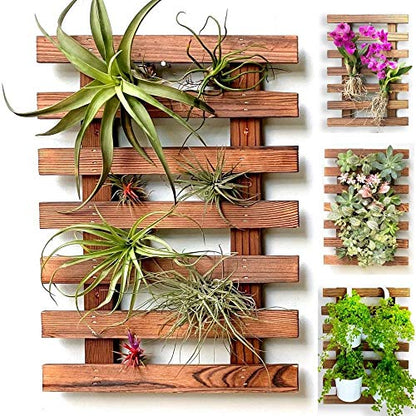 ShopLaLa Wooden Wall Planter for Succulents (40cm) Air Plant Wall Hanger | Indoor Outdoor, Live Orchid Wall Wood Display Frame Vertical Garden Balcony Deck Bathroom Macetas para Plantas De Aire - size: 40cm (15.7")