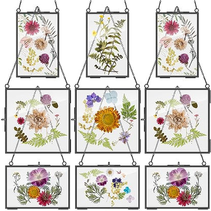Geetery 9 Pcs Glass Frame for Pressed Flowers 6x4 4x6 6x6 in Black Hanging Picture Frames Metal Floating Double Glass Display Frame with Chain for Dried Flower Plant Specimen DIY Artwork Wall Decor