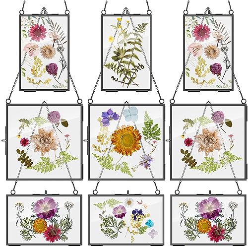 Geetery 9 Pcs Glass Frame for Pressed Flowers 6x4 4x6 6x6 in Black Hanging Picture Frames Metal Floating Double Glass Display Frame with Chain for Dried Flower Plant Specimen DIY Artwork Wall Decor