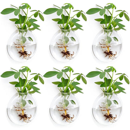 Wall Propagation Planters 6 Pack Wall Glass Planters Wall Plant Holder | Glass Wall Vase, Indoor Hydroponic Decor, Plant Propagation Wall Hanging