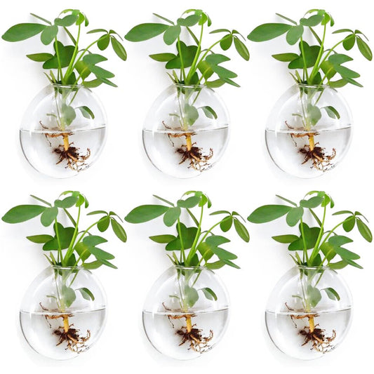 Wall Propagation Planters 6 Pack Wall Glass Planters Wall Plant Holder | Glass Wall Vase, Indoor Hydroponic Decor, Plant Propagation Wall Hanging