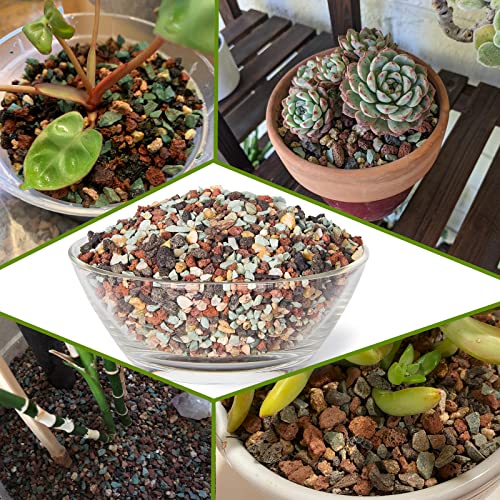 ARTKETTY Succulent Pots with Drainage - Large Succulent Planters with 2.2lb Mix Horticultural Lava Rock Pebbles, Planting Tools Set for Beginner- Shallow Bonsai Pot Ceramic Cactus Flower Plant Pot - color: White With Mix Lava Rock Pebbles