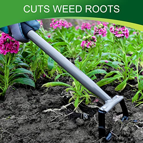 Walensee Stirrup Hoe,Garden Hand Scuffle Hoe for Weeding and Soil Loosening | 14-Inch Hollow Trapezoid Loop With Sharp Metal Edge, Functions As A Hand Rake For Weeding, Soil Cultivation And Garden Beds.