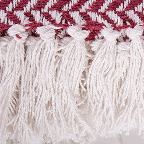 DII Modern Farmhouse Cotton Herringbone Blanket Throw with Fringe for Chair, Couch, Picnic, Camping, Beach, & Everyday Use, 50 x 60 - Barn Red - color: Barn Red