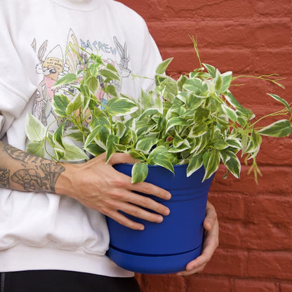 Bloem Planter Saturn CL BL 10" - color: Classic Blue, size: 10"