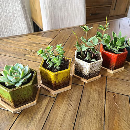 TOPZEA Set of 5 Succulent Planter Pots, 4.2 Inch Hexagon Glazed Ceramic Small Cactus Pot, Geometric Mini Flower Plant Container with Drainage Hole & Bamboo Tray for Home, Office, Windowsill, Desk