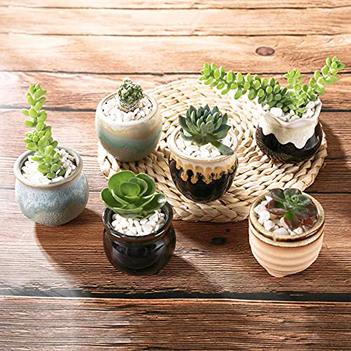 T4U Small Ceramic Succulent Pots with Drainage - Set of 12, Mini Pots for Plants, Home and Office Decor, Plant Lover Gifts for Women | Planters with Drainage, for live cactus plants, bonsai starter pots, indoor windowsill decor, office desk top accents -
