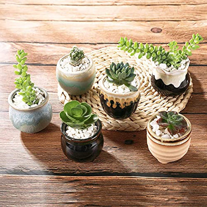 T4U Small Ceramic Succulent Pots with Drainage - Set of 12, Mini Pots for Plants, Home and Office Decor, Plant Lover Gifts for Women | Planters with Drainage, for live cactus plants, bonsai starter pots, indoor windowsill decor, office desk top accents -