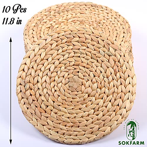 Woven Placemats Set of 10, Table Mats Set of 10, Water Hyacinth Round Placemats for Round Table, Chargers for Dinner Plates, Wicker Chargers for Dinner Plates, Woven Placemat, Place Mats 11.8 in - size: Placemats 11.8in Set 10