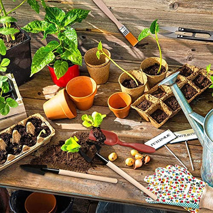 14Pcs Mini Bonsai Tools Set Gardening Transplanting Tools Succulent Plant Tools Set for Shovel Operation Convenient Indoor and Outdoor Small Fairyland Garden Plant Care