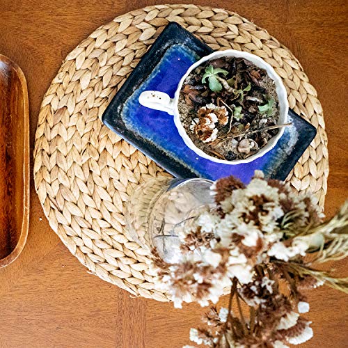 Woven Placemats Set of 6, Table Mats Set of 6, Water Hyacinth Round Placemats for Round Table, Chargers for Dinner Plates, Wicker Chargers for Dinner Plates, Woven Placemat, Place Mats 11.8 in - size: Placemats 11.8in Set 6