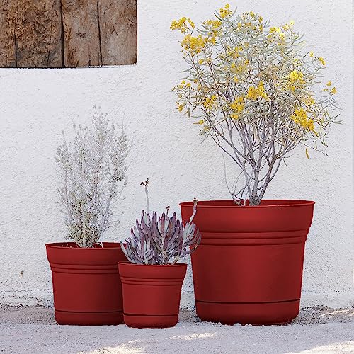 Bloem SP0513 Saturn Planter w/Saucer 5" Burnt Red, 5" - color: Burnt Red, size: 5"