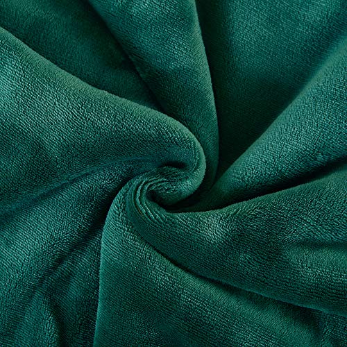Sherpa Fleece Throw Blanket, Green, 50x60 inches | Double-Sided Super Soft Luxurious Plush Blanket Throw Size - color: Green, size: 50"×60"