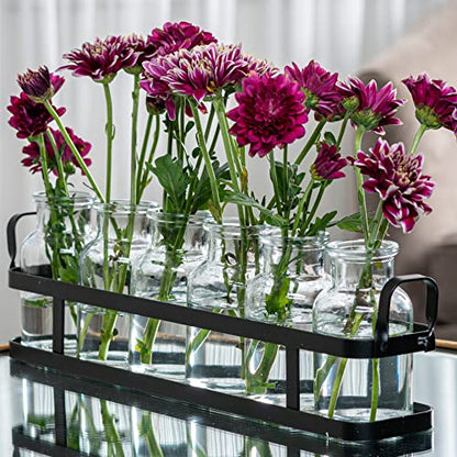 6pc Glass Flower Vase with Metal Holder, Best Vases Set for Home & Table Decor Flowers, Wedding Decorations, Kitchen, Bathroom, Bedroom, Modern Shelf Decor, Terrarium Arrangement