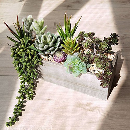 Supla Artificial Potted Succulents Plants Arrangement Fake Succulent Plants in Rectangular Wooden Pot Arrangement for Table Centerpiece Windowsill Greenery Decor