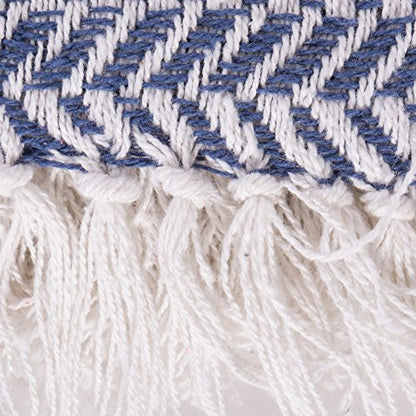 DII Modern Farmhouse Cotton Herringbone Blanket Throw with Fringe for Chair, Couch, Picnic, Camping, Beach, & Everyday Use, 50 x 60 - French Blue - color: French Blue
