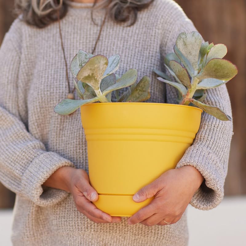 Bloem Saturn Planter w/Saucer (SP1023), Earthy Yellow, 10" - color: Earthy Yellow, size: 10"