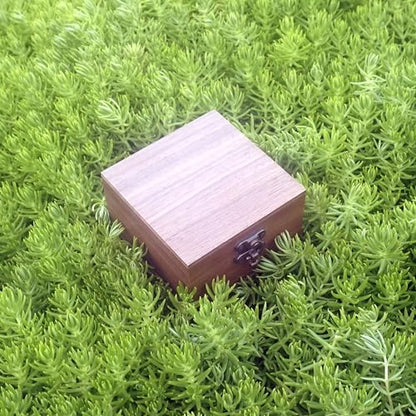 Walnut Wood Box for Crafts, Jewelry Box and watch box Wooden Keepsake Box Gift (Walnut) - color: Walnut