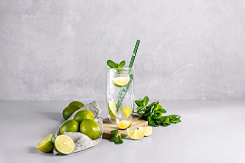 Zwilling J.A. Henckels 39500-120 Double Wall Glasses, 16.5 fl oz (470 ml), Set of 2, Tumbler, Highball, Heat Resistant, Double Wall Construction, Cup - color: Transparent, size: 470ml Tumbler (Set of 2)