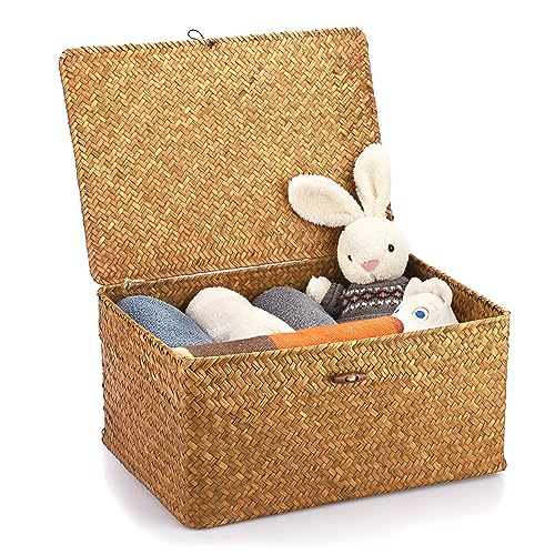 Hipiwe Wicker Shelf Baskets Bin with Lid Handwoven Storage Basket, X-Large | Rectangular Basekts Bins Natural Seagrass Household Basket Boxes for Shelf Wardrobe Home Organizer, Caramel - color: Caramel, size: X-Large