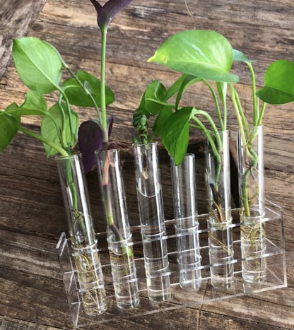 Modern Minimalist Desktop Plant Propagation Station w/ 6 Extra Large Glass Test Tubes in Clear Acrylic Stand - Hydroponic Plant Cuttings Bud Vase for Office Home Garden Decor Terrarium