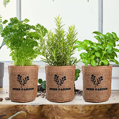 Meekear 5 Herb Seeds Garden Starter Kit with Complete Planting Kit & Wooden Flower Box, Growing into Basil, Parsley, Rosemary, Thyme, Mint for Kitchen Windowsill Herb Garden DIY