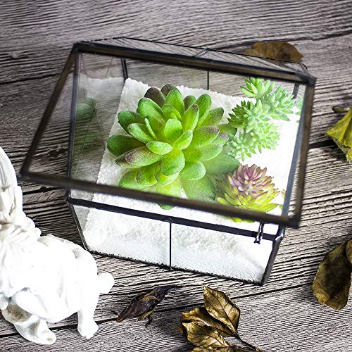 House Shape Glass Terrarium Planter with Swing Lid Black Frame | Black metal frame transparent glass panel, suitable for DIY planting of small succulent plants and mosses - size: 4.3"L x 4.3"W x 4.9"H