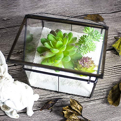 House Shape Glass Terrarium Planter with Swing Lid Black Frame | Black metal frame transparent glass panel, suitable for DIY planting of small succulent plants and mosses - size: 4.3"L x 4.3"W x 4.9"H