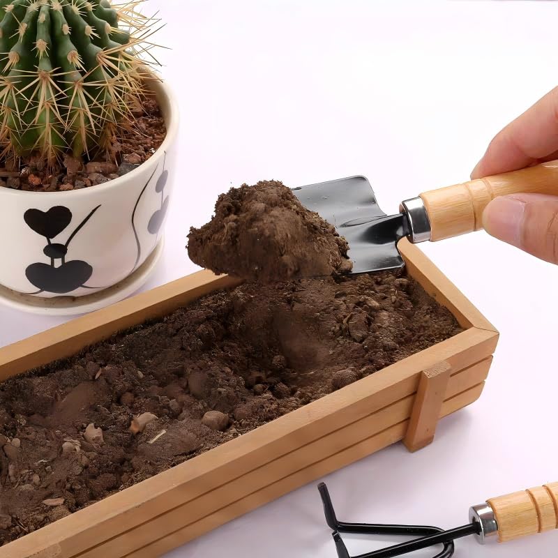 Mini Gardening Tool Set - 3PCS Hand Shovel, Rake, Spade with Wooden Handle - Small Planting Weeding Kit for Indoor Succulents, Cactus, Herbs, DIY Terrarium - Cute Garden Tools for Kids & Adults