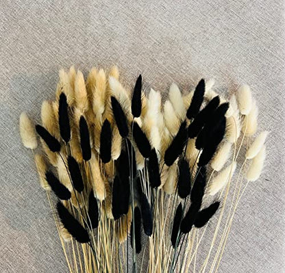 100 Stems Bunny Tails Pampas Grass Dried Flowers | 30pcs Black, 30pcs White, 40pcs Natural Brown, Boho Home & Kitchen Decor, Pampas Grass Decor