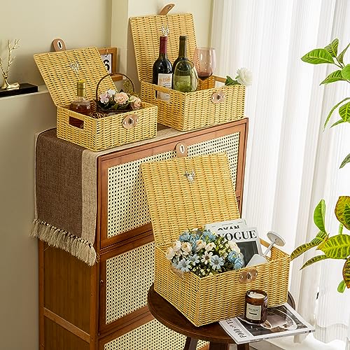 Wicker Storage Baskets with Lids, Set of 3 Decorative Storage Boxes For Organizing, Woven Baskets with Leather Lock and Handles (Beige)