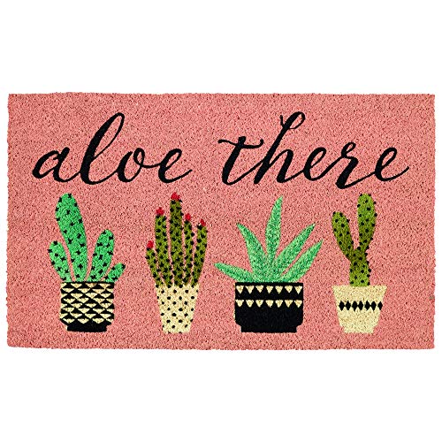 DII Natural Coir Doormat, Decorative Hello Mat, 17x29, Aloe There - color: Aloe There