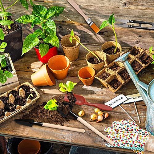Haofy 13PCS Mini Gardening Tools Set for Succulents Planting Transplanting Tool Kit with Stainless Steel Scissor Tweezers Brush for Bonsai Indoor Plants