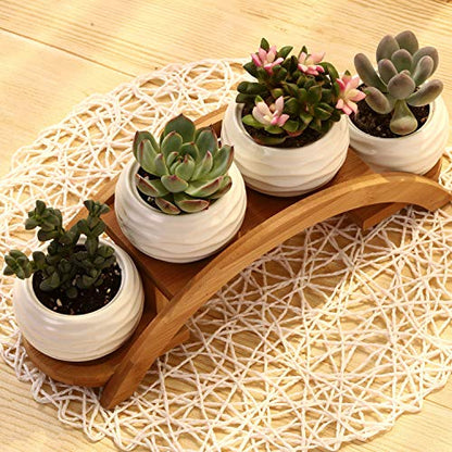 E-liu Eliu Cute Small Ceramic Succulent Pots and Stand Set, Pack of 4 | White Succulent Planter Pot with Drainage Fits Well In Windowsills, Office Indoor Decoration, Plants Not Included