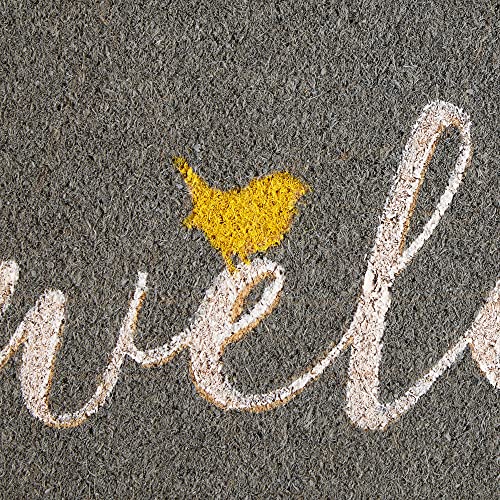 DII Natural Coir Doormat Outdoor Welcome Mat, 17x29, Bird - color: Bird