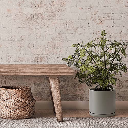 D'vine Dev 10 Inch Ceramic Planter Pot, Grey, 94-O-E-3 | Modern Cylinder Design, Drainage Hole & Saucer Included, Stable Structure, Elegant Home Accent - color: Gray, size: Large