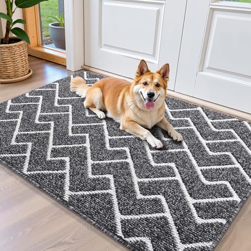 OLANLY Front Door Mat, Non-Slip Rubber Backing, Dirt Resistant and Absorbent, Washable, Easy to Clean Low-Profile Indoor Doormat for Back Door, Entryway, Inside Entrance, 40x32, Black - color: Black, size: 40" X 32"