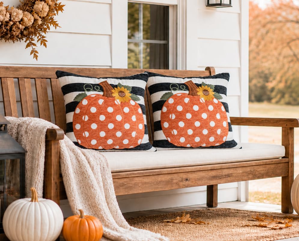 Embroidery Fall Pumpkin Pillow Covers Set of 2(Black & White,20x20) | Soft chenille, black-and-white stripe design, applique pumpkin and sunflower embroidery, hidden zipper, for sofa and bed - size: 20" x 20" (Pack of 2)