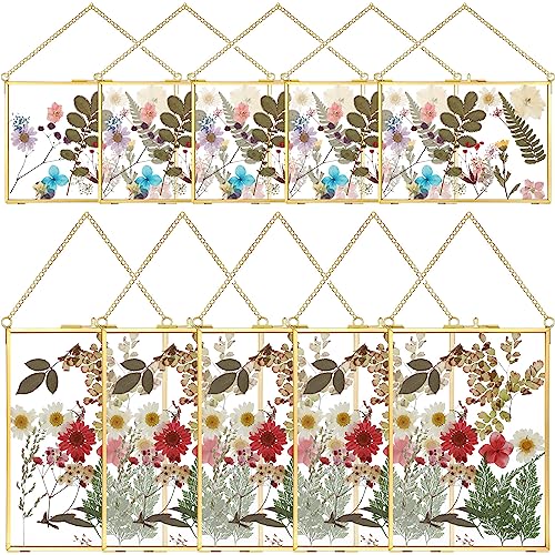 Qunclay 10 Pieces Pressed Flower Glass Picture Frames 5 x 7 Inch Brass Clear Horizontal Vertical Hanging Photo Frames with Chain for Gallery Vintage Artwork Display - size: 7x5 Inch，5x7 Inch