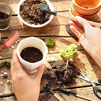 Haofy 13PCS Mini Gardening Tools Set for Succulents Planting Transplanting Tool Kit with Stainless Steel Scissor Tweezers Brush for Bonsai Indoor Plants