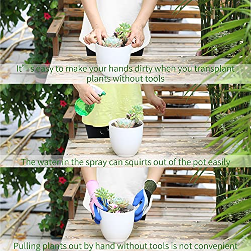 11Pcs Succulent Tools, Mini Garden Tools, Plant Repotting Set(No Flowerpot) | Succulent Watering Tool as Plant Accessories,Small Gardening Hand Tools Kit for Indoor Seedling Soil,Caring Houseplant - style: Abundant Garden Tools