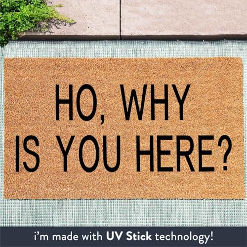 Funny Coir Welcome Doormat for Porch & Entrance - Personalized Rug, Heavy-Duty PVC Backing, Non-Slip, 30 x 18 inch - color: Ho Why You Are Here